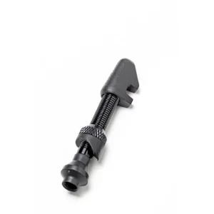 Dt-swiss Tubeless-Ventil Alu Schwarz 21