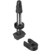 Dt-swiss Tubeless-Ventil MTB / Road Silber 23