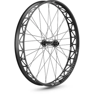 Dt-swiss Laufrad BR 2250 Classic Fatbike 6